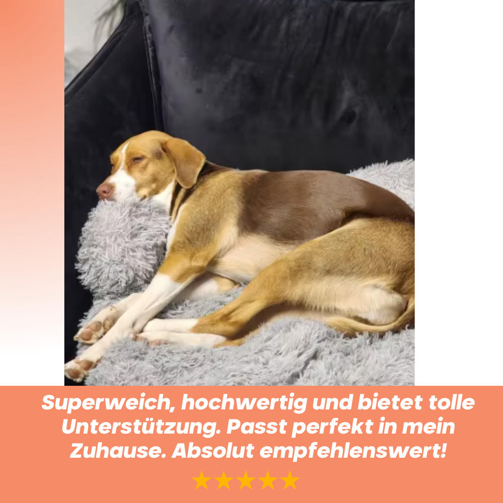 KuschelWiese - Der kuschelige Ruheplatz für dein Haustier!